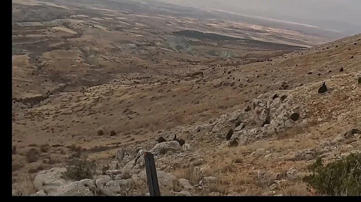 Keklik ve tavşan avı Partridge and hare hunting,охота на кексика,Cansa del petriz,Chukar hunting