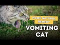 5 Home Remedies For Cat Vomiting