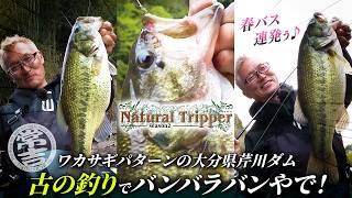 【Natural Tripper Season2】TRIP17 ワカサギパターンの大分県芹川ダム 古（いにしえ）の釣りでバンバラバンやで!