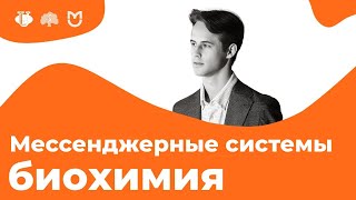 картинка: МЕССЕНДЖЕРНЫЕ СИСТЕМЫ за 14 МИНУТ (АДЕНИЛАТЦИКЛАЗНАЯ и другие) // На Биохимическом