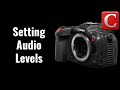 Setting and Controlling Audio Levels - EOS R5C Tip 15