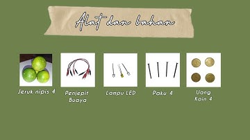 Praktikum sederhana sel volta dengan menggunakan jeruk nipis