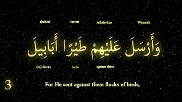 Surat Al-Fil (سورة الفيل), The Elephant, 105th Surah in the Qur'an
