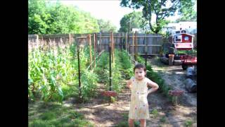 Bloopers and Outtakes from our Homestead