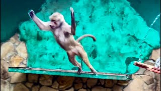 картинка: НЕВОЗМОЖНО СМЕШНО! Мы пытаемся поймать и одеть Люське подгузник)) 