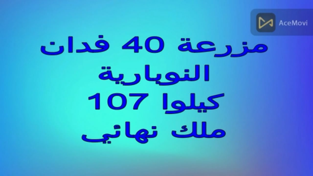 40 فدان بحاري النوبارية كيلوا 107