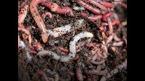 5 reasons why we need to cherish the ground beneath our feet