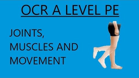 OCR A Level PE - Joints, Muscles and Movements
