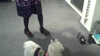 VID00035.AVI