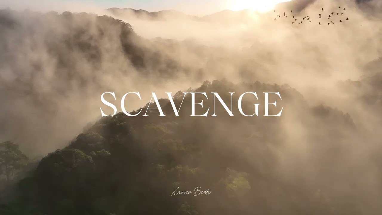 [FREE] Lil Baby X Gunna Type Beat 2024 | "Scavenge" | Prod by Xavier