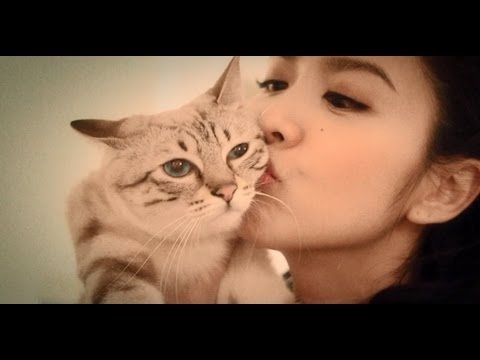 薛凱琪 Fiona Sit -復原 Official Lyric Video