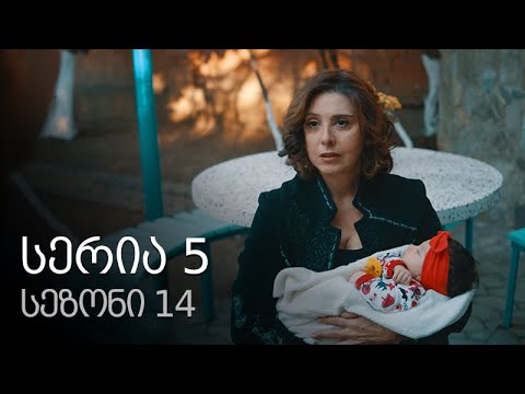 ჩემი ცოლის დაქალები - სერია 5 (სეზონი 14)