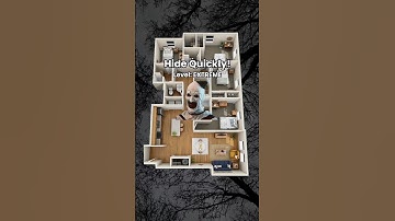 Quickly choose your hiding Spot! #hideandseek #survive #game #tiktokgame #interactive #shorts