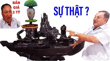 Sự thật về ông chủ cây kiểng độc đáo nhất VN đang hô bán 2 tỷ II ĐỘC LẠ BÌNH DƯƠNG