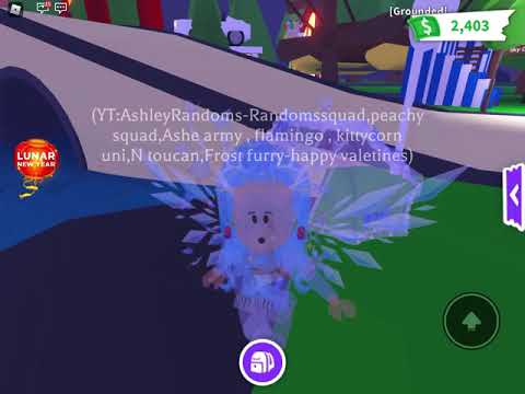There’s a crack in the roblox adopt me bridge.. - YouTube