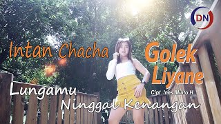 Intan Chacha - Lungamu Ninggal Kenangan | Golek Liyane [OFFICIAL] DJ Ketrung