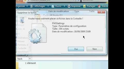 codesoft stealer 0 5