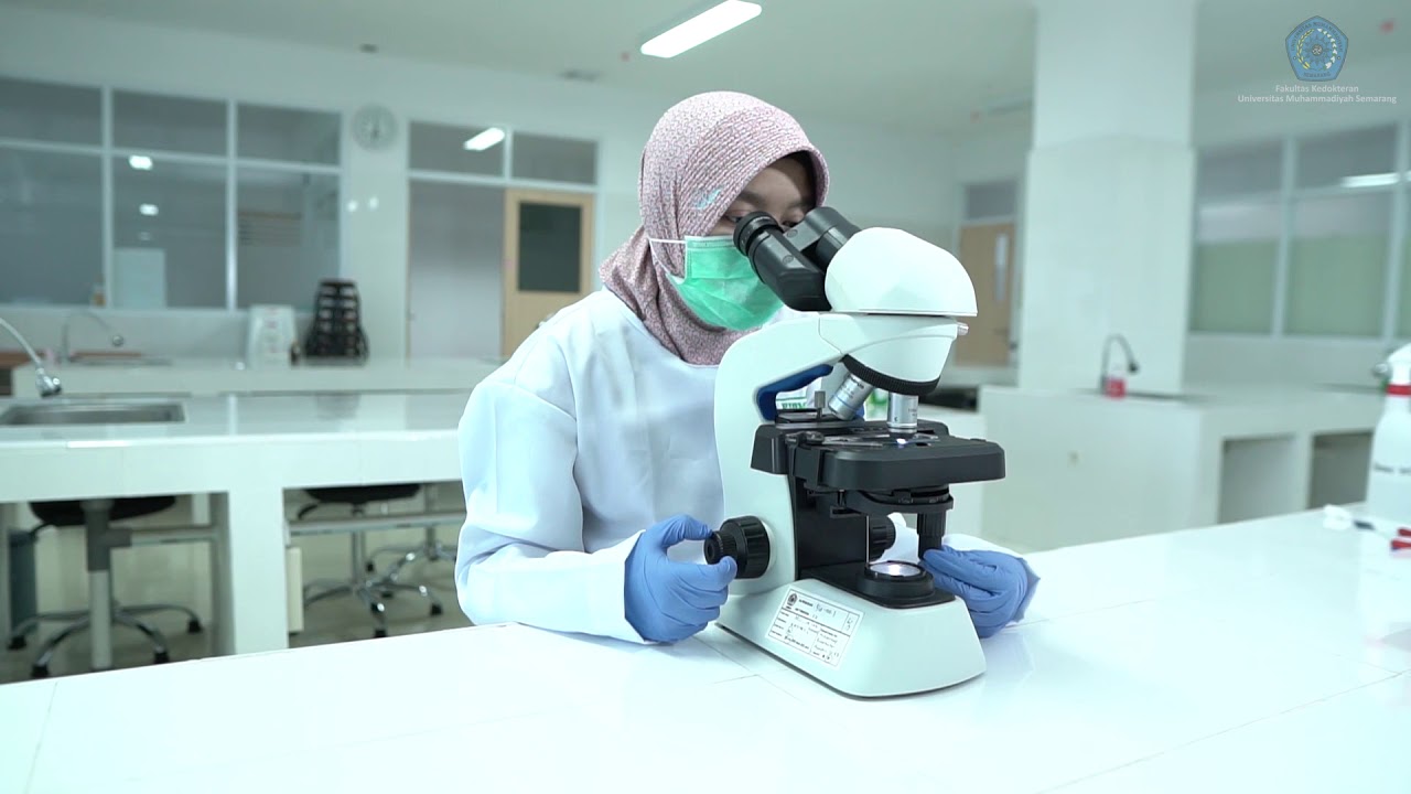 Pembuatan SADT   Pemeriksaan Hitung Jenis Leukosit