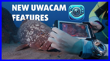 Nieuwe UWACAM-updates november 2025