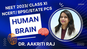 HUMAN BRAIN I CLASS XI NCERT I NEET 2023 I DR. AAKRITI RAJ