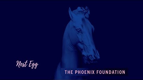 The Phoenix Foundation - Nest Egg (Official Audio)