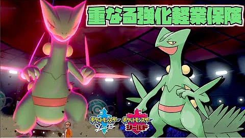 ポケモン 我武者羅