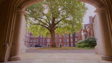 Pupillage at XXIV Old Buildings