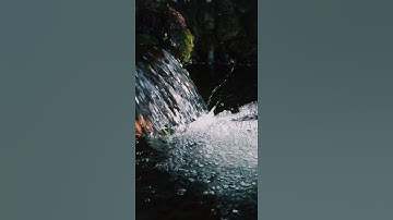 في ظل آية من سورة الحج 🌹