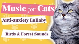Music for Cats 🐱/ Soft Anti-anxiety Lullaby 💤/ Calm & Relaxing Atmosphere with Forest & Birds Sounds by Lounge Place 🎵  609 views 1 year ago 21 minutes