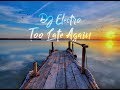 DJ Electro  - Too Late Again