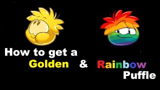 Featured image of post Rainbow Puffle Club Penguin Rewritten This will be determined once it has been released for play