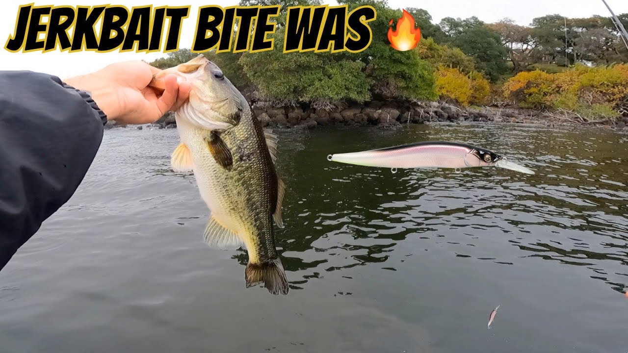 Jerkbait Bass Fishing on Clear Lake – Fish after Fish!