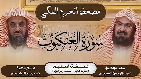 29| سورة العنكبوت | مصحف الحرم المكي1415هـ