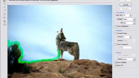 Adobe Photoshop Tutorial: The Extract Tool