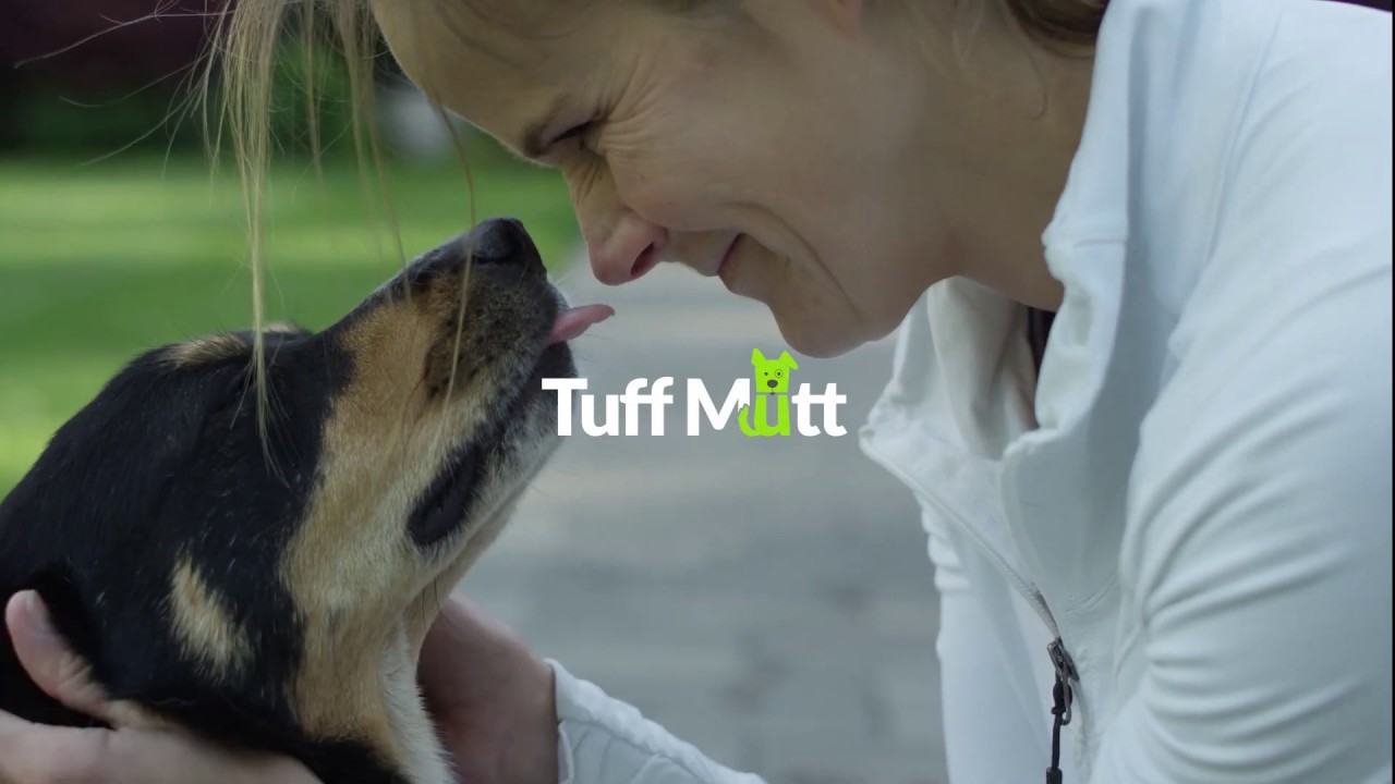 tuff mutt running leash