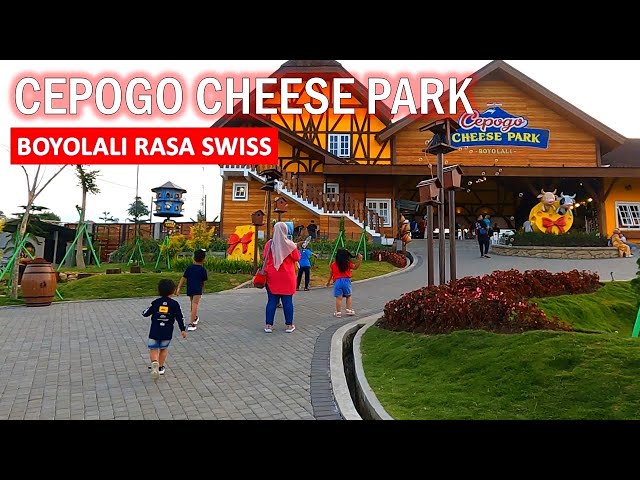 Cepogo Cheese Park Boyolali Terbaru 2024 | Wisata Keluarga Cimory Boyolali class=