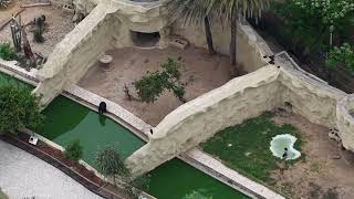 ZOOLÓGICO La pastora por los aires