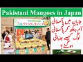 Pakistani Gone Emotional After Seeing PAKISTAN's Mangoes in JAPAN | Worth Watching Video |Urdu Hindi