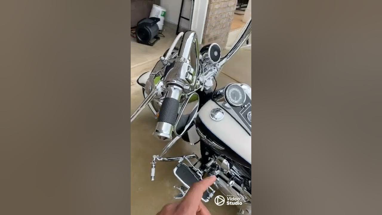 carlini gangster apes softail deluxe