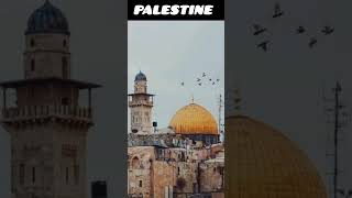 Palestine | Muslims Status | Masjid al Aqsa shortsfeed viral viralvideo viralshorts viralshort