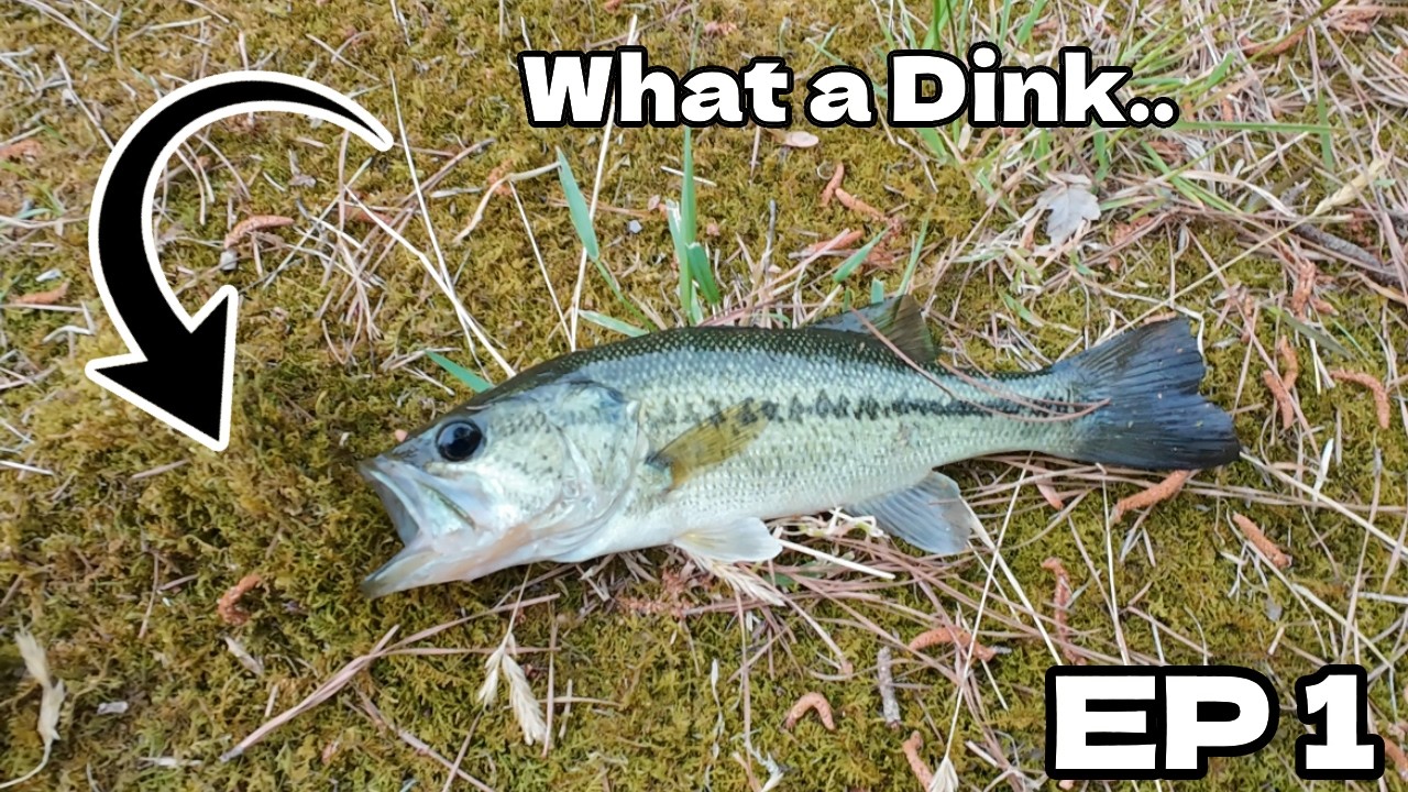 Fishing For MY PB Ep 1! - YouTube