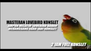 MASTERAN MERANGSANG LOVEBIRD KONSLET