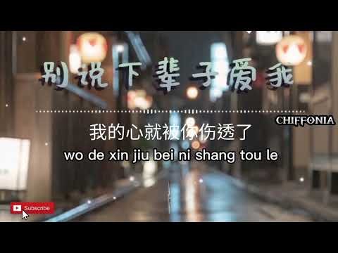 别说下辈子爱我～Bie Shuo Xia Bei Zi Ai Wo /向思悦 【Chiffonia Music】 Lyrics Pinyin