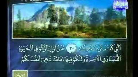 سورة فصلت 1 46 الشيخ ماهر شخاشيرو