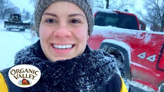 How are Cows Grassfed in Winter? | Julia Gasser | Organic Valley