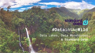 #DataintheWild - Data Lakes vs. Data Warehouses vs. Standard Data