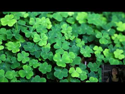 Video: İrlanda'daki Aziz Patrick Katedrali