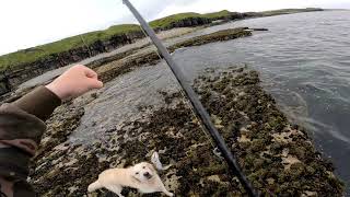 Sea Fishing with Lures - Fishing of the rocks