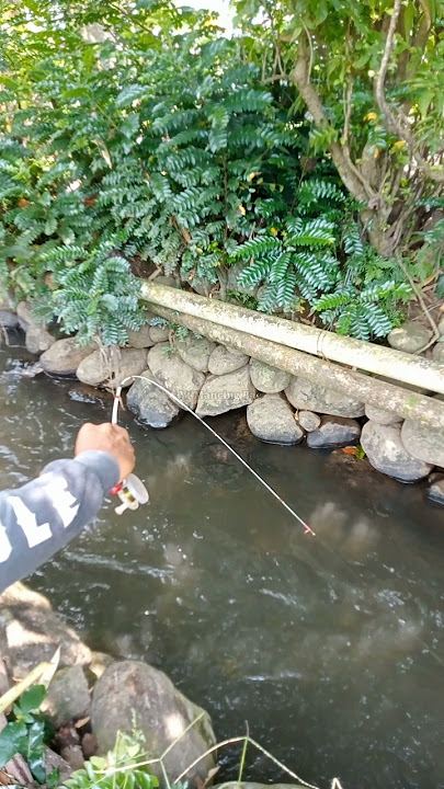 Download lagu It turns out Biangkerok ๐ #fishing #fishingbae