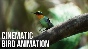 Create Cinematic Bird Animations in Blender - Tutorial